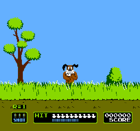 Duck Hunt